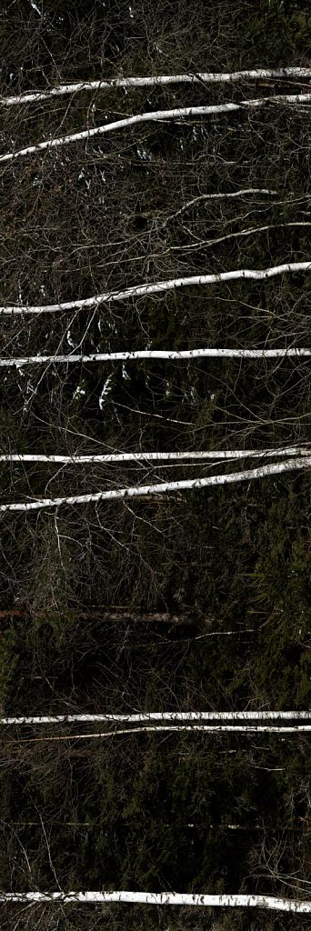 Stamm 7, 2016