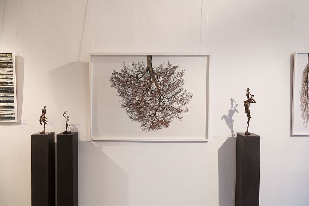 Tree Crowns im Zusammenspel mit den Plastiken von Tim David Trillsam