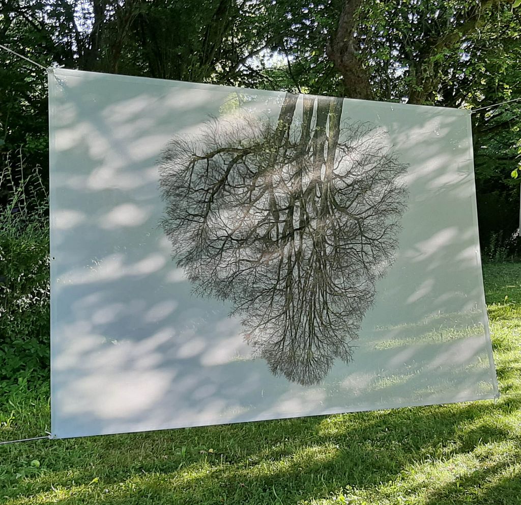 First test hanging in an apple tree garden in my hometown