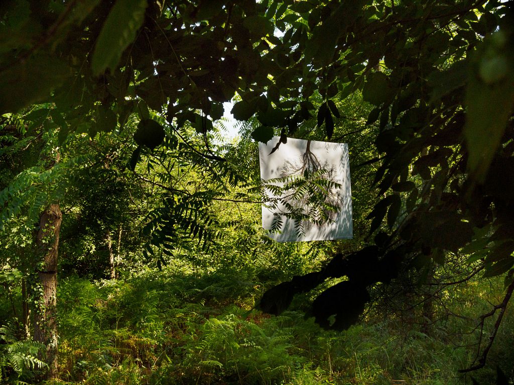 Urheberrechtlich geschuetztes Foto, Copyright by Christoph Frank