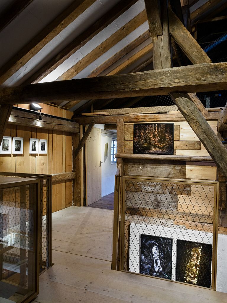 Urheberrechtlich geschuetztes Foto, Copyright by Christoph Frank