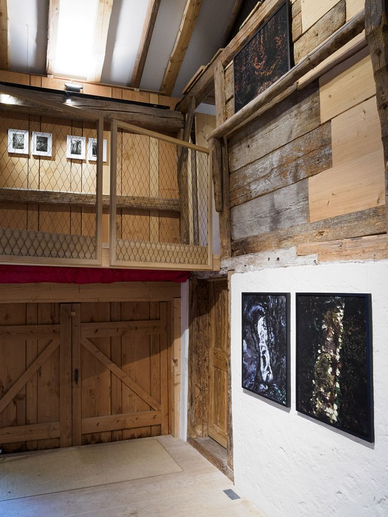 Urheberrechtlich geschuetztes Foto, Copyright by Christoph Frank