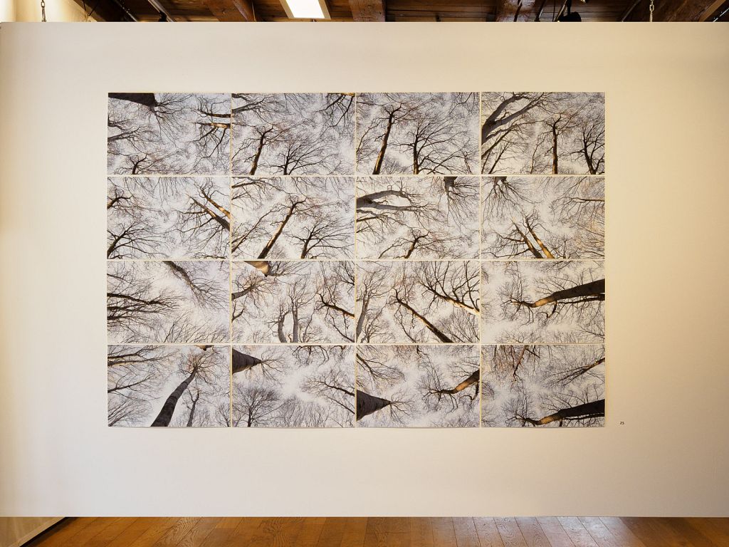 Tree Synphony, Christoph Franke